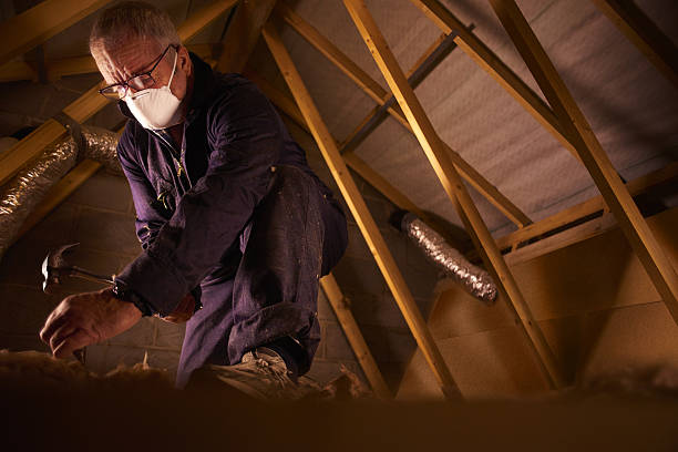 Trusted Carson, CA Insulation Contractor Experts